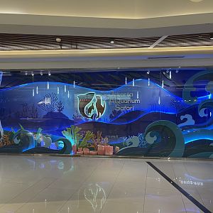 JAQS’ window display (1)