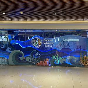 JAQS’ window display (2)