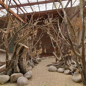 Birdhosue - Von der decken's Hornbill aviary
