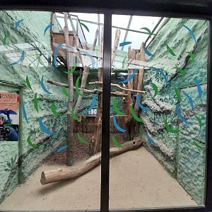 Birdhosue - Hyacinth macaw (Anodorhynchus hyacinthinus)