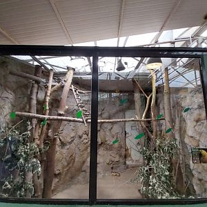 Birdhosue - Bali Myna aviary