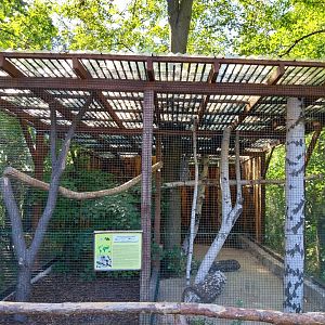 Owl aviaries - Great Grey Owl (Strix nebulosa)