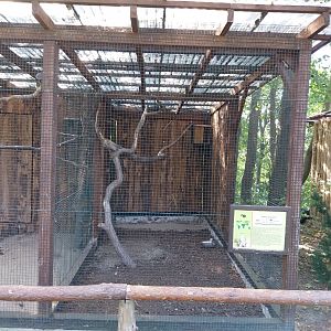 Owl aviaries - Eurasian Long-eared Owl (Asio otus otus)