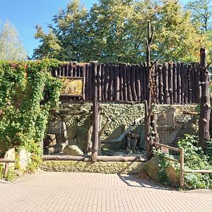Lion-Leopard House - Persian leopard enclosure 1 (Panthera pardus tulliana)