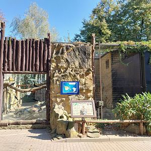 Lion-Leopard house - Persian Leopard second enclosure (Panthera pardus tulliana)