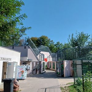 Snowleopard-Siberian Tiger house