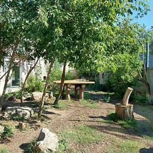 Snowleopard-Siberian Tiger house - Siberian Tiger first enclosure (Panthera tigris altaica)
