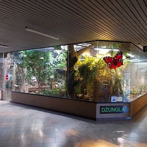Egzotarium - Walk-through exhibit