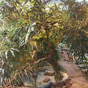 Egzotarium - Walk-through exhibit