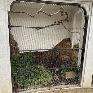 Some minor changes to the enclosure of Swift Parrot and Blue-faced Honeyeater