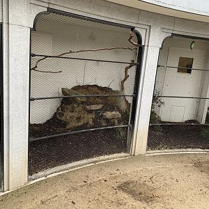 Some minor changes to the enclosure of Swift Parrot and Blue-faced Honeyeater
