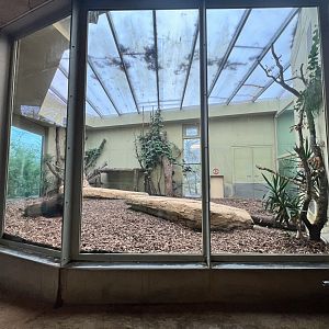 #1 Indoor Area for the Asiatic Lions
