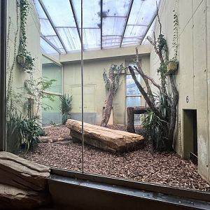 #2 Indoor Area for the Asiatic Lions
