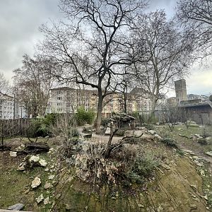 Recently enlarged Asiatic Lion Outdoor Enclosure