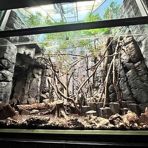 Grzimek House- South America Day Exhibit