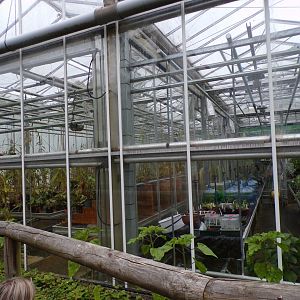 View of plant greenhouses 29.6.24