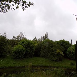 Mandrill enclosure 29.6.24