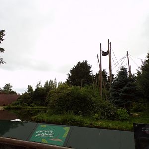 Chimpanzee enclosure 29.6.24