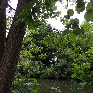 Lemur island 29.6.24