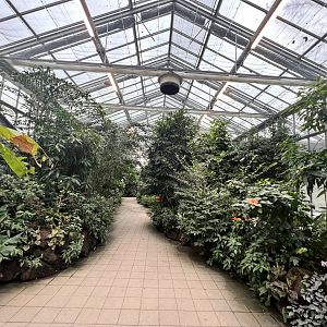 Inside the Flower and Butterfly House