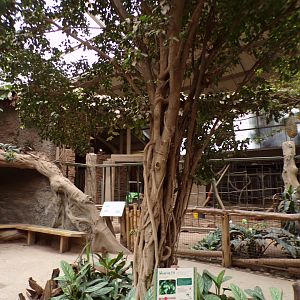 View inside elephant house 29.6.24