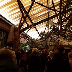 View inside the monkey house 29.6.24