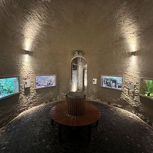 Aquarium Room underneath the Palm House