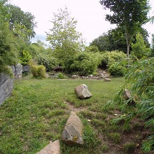 One of the babirusa enclosures 29.6.24