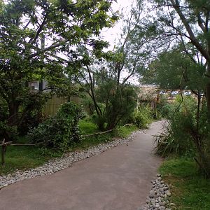 Lemur walkthrough 29.6.24