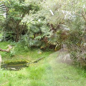 Fossa enclosure 29.6.24