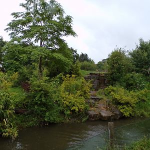 Andean bear enclosure 29.6.24