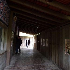 Malayan tapir indoor viewing area 29.6.24