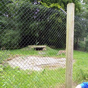 Central African cheetah enclosure 29.6.24
