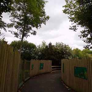 View through miniature monkeys 29.6.24