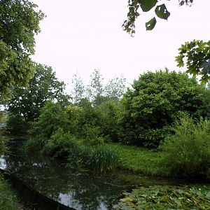 Mandrill enclosure 29.6.24