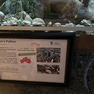 Children’s python signage