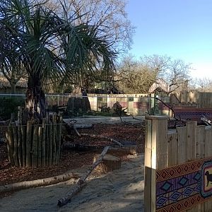 Meerkat enclosure view 1