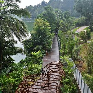 Mandai Boardwalk