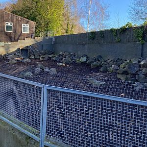 Cape Porcupine enclosure, Drayton Manor Theme Park Zoo, UK