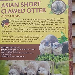 Otter signage