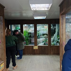 Reptile Ranch interior