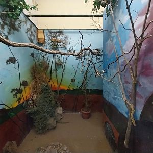 Tropical Birdhouse - Mixed species aviary