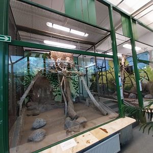 Tropical Birdhouse - Buffon's Macaw (Ara ambiguus) aviary