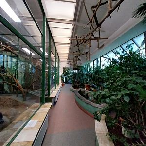 Tropical Birdhouse - General view