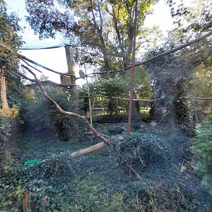 Owl aviaries - Great Horned Owl (Bubo virginianus) aviary