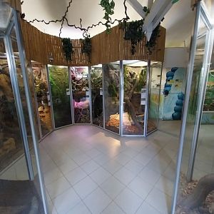 Herpetrium - First room