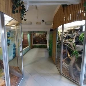 Herpetrium - Second room