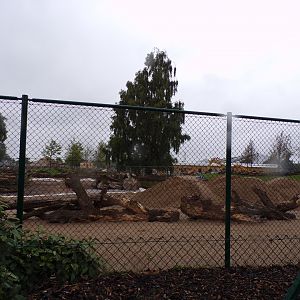 Development on new Africa area 29.6.24