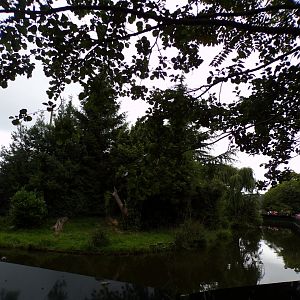 Chimpanzee enclosure 29.6.24