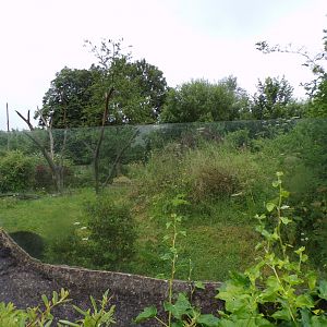 Andean bear enclosure 29.6.24